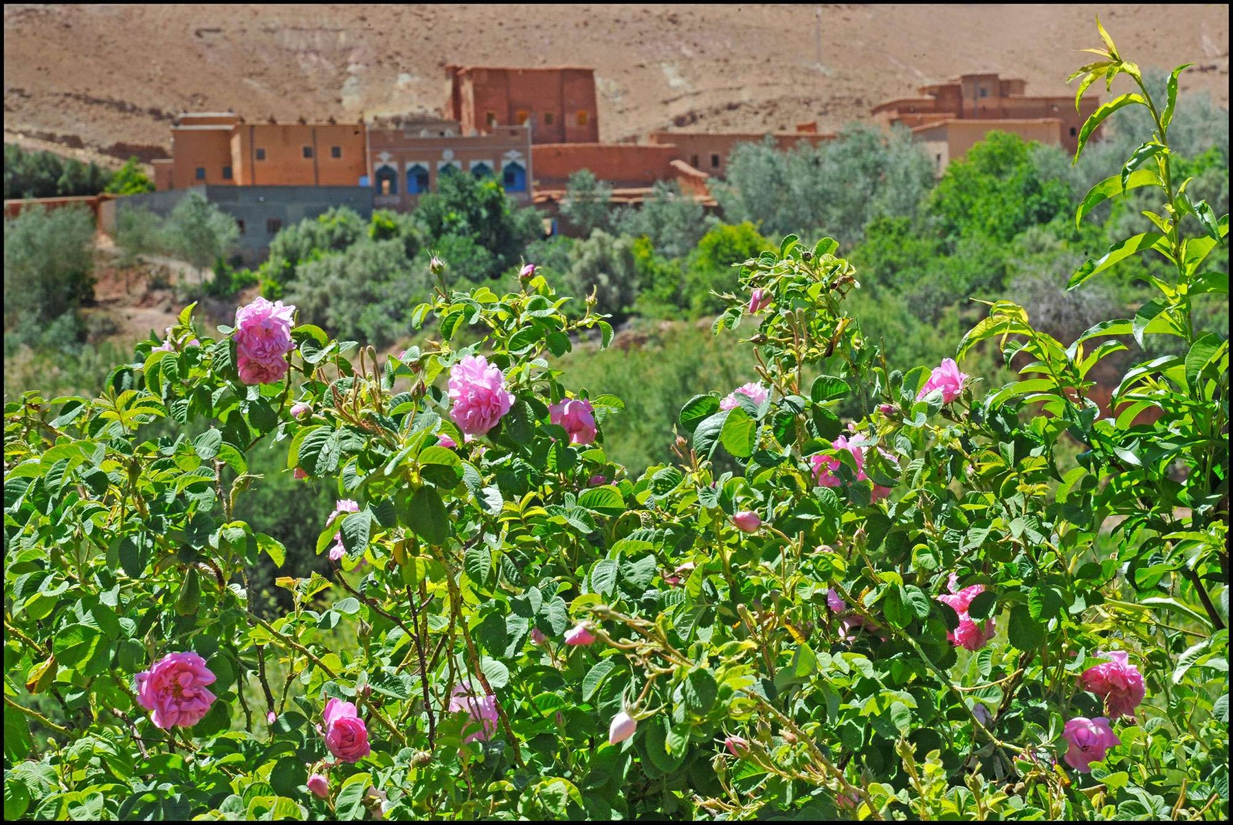 h800-trekking-vallee-des-roses-couverture-ef723a